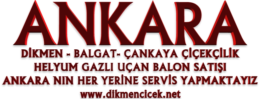 ANKARA HELYUM GAZLI UÇAN BALON SATIŞI