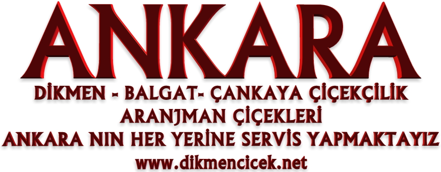 Ankara dikmen çiçek satışı