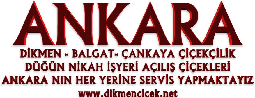 çiçek satışı ankara dikmen