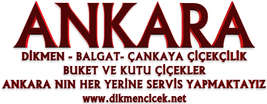 Ankara dikmen çiçek gönder