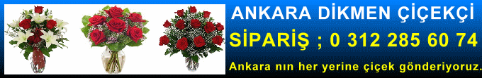Ankara dikmen çiçekçileri satýþ sitesi