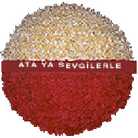 Ankara Dikmen Çiçekçi firmamýzdan Anýtkabir için çiçek çelenk modeli